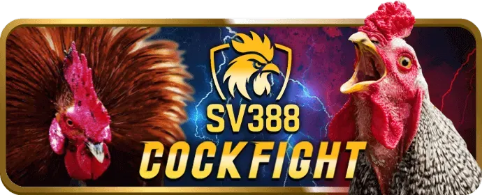 Video slot go99 hiện đại
